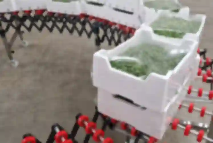 POF-F – Special functional films